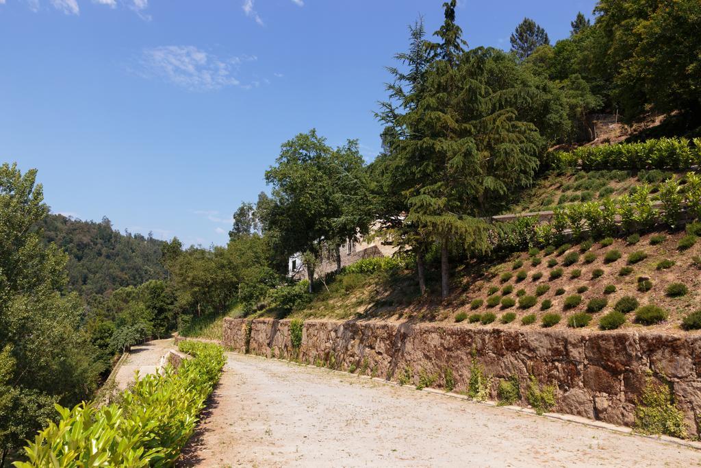 Douro Green Castelo de Paiva Εξωτερικό φωτογραφία